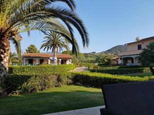 een huis met een palmboom en een gazon bij Lido Azzurro Residence in Capoliveri