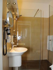 a bathroom with a sink and a glass shower at Burg Deutschlandsberg in Deutschlandsberg
