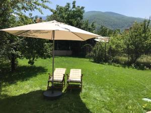 two chairs under an umbrella in the grass at Guest House Vergie, Fully Private in Sapareva Banya