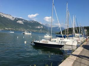a group of boats are docked in a harbor at le Perchoir du Lac in Annecy