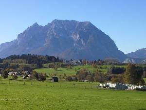 a green pasture with a mountain in the background at Haus Elisabeth in Aigen im Ennstal