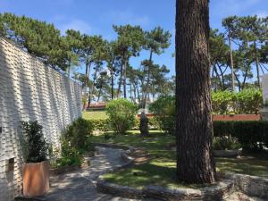 un giardino con un albero e un muro di pietra di Ofir Beach House Bonança a Esposende