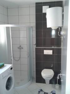 a bathroom with a shower and a toilet and a sink at Appartement "Noni" in Okrug Donji