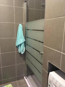 a bathroom with a shower with a blue towel at Santa Cruz Flat - Alojamento Local in Praia da Vitória