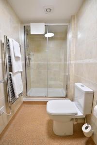 a bathroom with a shower and a toilet and a shower at The Green Dragon in Wellington