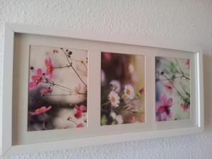 Fotografie z fotogalerie ubytování Hotel Tramontana v destinaci Benicàssim