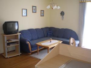 a living room with a blue couch and a tv at Wiesenbauer - Schlögl Anton in Grafendorf bei Hartberg