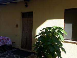 Fotografie z fotogalerie ubytování Agriturismo La Selva v destinaci Nocera Umbra