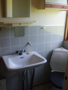 La salle de bains est pourvue d'un lavabo et de toilettes. dans l'établissement Summer cottage, à Nøreng