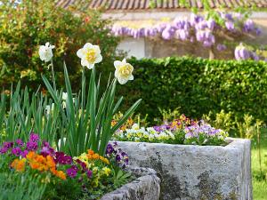 Gallery image of La Chartreuse du Maine in Cubjac-Auvézère-Val d'Ans