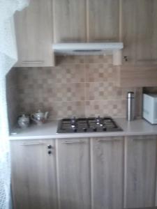 Кухня или мини-кухня в Mineralna Apartment 49

