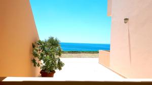 a potted plant in a room with a view of the ocean at Creta Spirit in Plakias