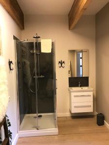 een badkamer met een douche en een wastafel bij Appartementen Leonardus in Valkenburg