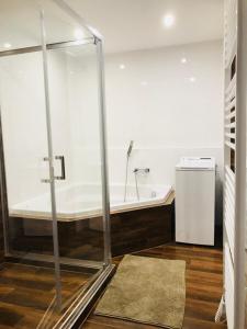 a bathroom with a bath tub and a shower stall at Jenys Apartment in Teplice