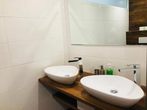 Gallery image of Jenys Apartment in Teplice +14 photos