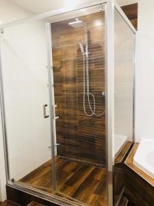 a shower with a glass door in a bathroom at Jenys Apartment in Teplice