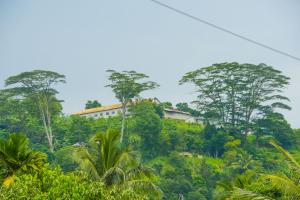a house on top of a hill with trees at Thilina Guest in Badulla