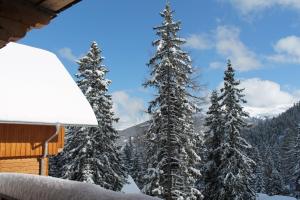 Obiekt Bärenhütte zimą