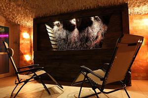 Telewizja i/lub zestaw kina domowego w obiekcie Hotel Forum Fitness Spa & Wellness