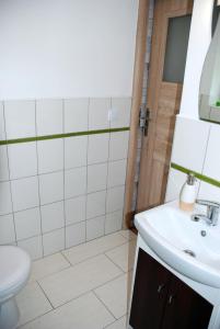 Koupelna v ubytování Apartament Kraszewskiego