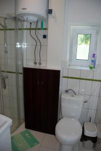 Koupelna v ubytování Apartament Kraszewskiego