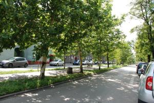 Fotografie z fotogalerie ubytování Apartament Kraszewskiego v destinaci Bytom