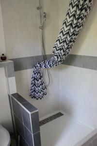 a shower in a bathroom with a shower curtain at La Tropicale- Chambre d'hôte au calme in Nantes