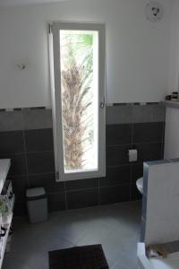 a bathroom with a window and a palm tree at La Tropicale- Chambre d'hôte au calme in Nantes