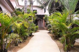 a walkway in front of a house with palm trees at Cerritos Beach Inn in El Pescadero