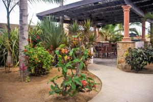 Galeriebild der Unterkunft Cerritos Beach Inn in El Pescadero