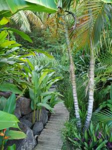 un jardin avec des palmiers et une passerelle en bois dans l'établissement Orcéa & Spa Séjours Ecofriendly, à Sainte-Anne