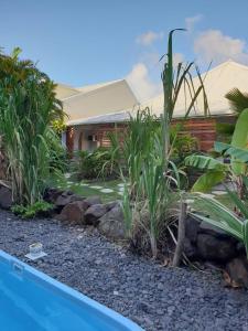 une cour avec une piscine et quelques plantes dans l'établissement Orcéa & Spa Séjours Ecofriendly, à Sainte-Anne