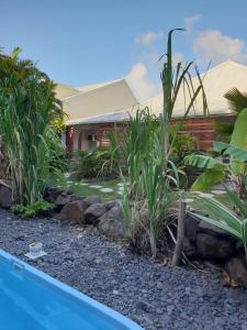a yard with a swimming pool and some plants at Orcéa & Spa Séjours Ecofriendly in Sainte-Anne