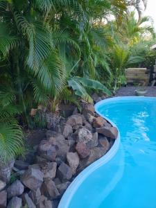 - une piscine avec des rochers à côté d'un palmier dans l'établissement Orcéa & Spa Séjours Ecofriendly, à Sainte-Anne