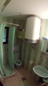 a bathroom with a shower and a toilet and a sink at Kuca za odmor Zicanka in Kraljevo