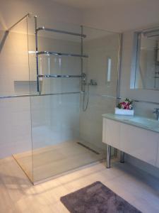 a bathroom with a glass shower and a sink at Lory in Sveti Lovreč Pazenatički +42 photos