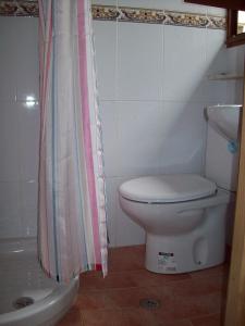 a bathroom with a toilet and a shower curtain at Pensión Los Pinos Gijón in Gijón