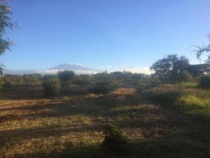 a field with a mountain in the distance at Amboseli Eco Camp in Amboseli
