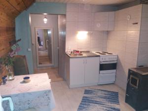 Il comprend une petite cuisine équipée d'une cuisinière et d'un évier. dans l'établissement Viljandi Paadimehe Apartment, à Viljandi