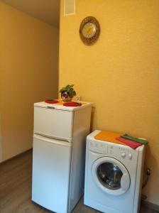 ペトロザヴォーツクにあるApartment Kovalevskoy 7の洗濯機と洗濯機付きのランドリールーム
