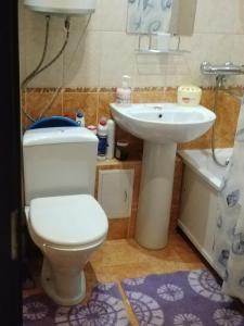 ペトロザヴォーツクにあるApartment Kovalevskoy 7のバスルーム(トイレ、洗面台付)