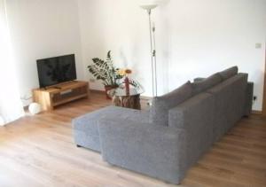 uma sala de estar com um sofá e uma televisão em Apartment Heilbrünnchen em Emmelshausen