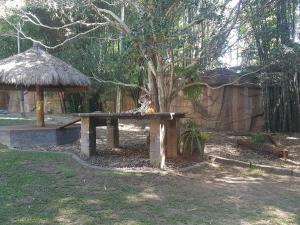 a cat sitting on a picnic table under a tree at Beerwah House in Beerwah