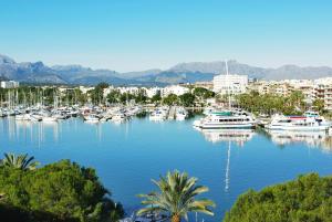 a bunch of boats docked in a harbor at Cofradia Penthouse in Alcudia
