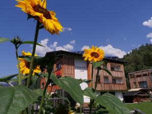 a group of sunflowers in front of a building at Der Brückenwirt in Heinfels