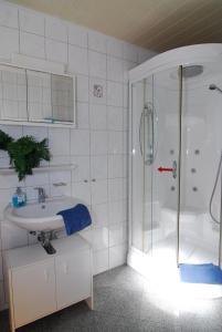 エシュヴァイラーにあるFerienwohnung + Monteurwohnungen Kringsの白いバスルーム(シャワー、シンク付)