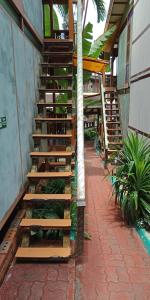 a set of wooden stairs in a building with plants at T Star Cottage Langkawi in Pantai Cenang +44 photos
