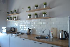 a kitchen counter with a sink and some plants at Hostel Energia in Kazan