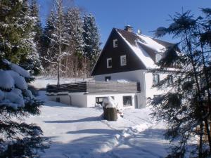 a house in the snow with snow covered trees at Pension Haus am Wald in Braunlage