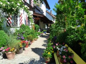 Zahrada ubytování Hotel Engelhof